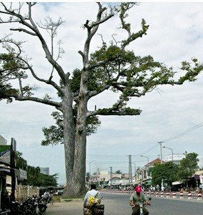 Sổ tay du lịch so tay du lich Sotaydulich Sotay Dulich Khampha Kham Pha Bui Len Thanh 