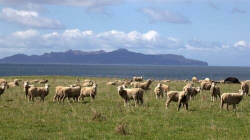 Sổ tay du lịch so tay du lich Sotaydulich Sotay Dulich Khampha Kham Pha Bui Kham pha Tasmania