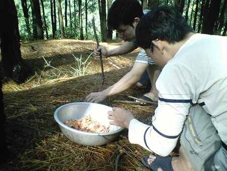 Sổ tay du lịch so tay du lich Sotaydulich Sotay Dulich Khampha Kham Pha Bui Leo Con Son ngoi thien hai nam thong