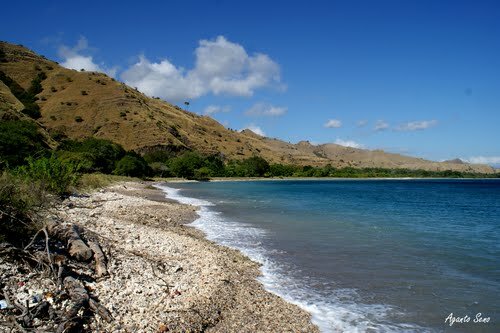 Sổ tay du lịch so tay du lich Sotaydulich Sotay Dulich Khampha Kham Pha Bui Dao Komodo xu so cua rong