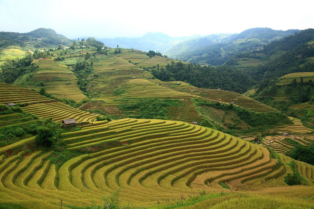 Sổ tay du lịch_sổ tay_du lịch_so tay du lich_so tay_du lich_sotaydulich_sotay_dulich_doc mien dat nuoc_ngat ngay ruong bac thang