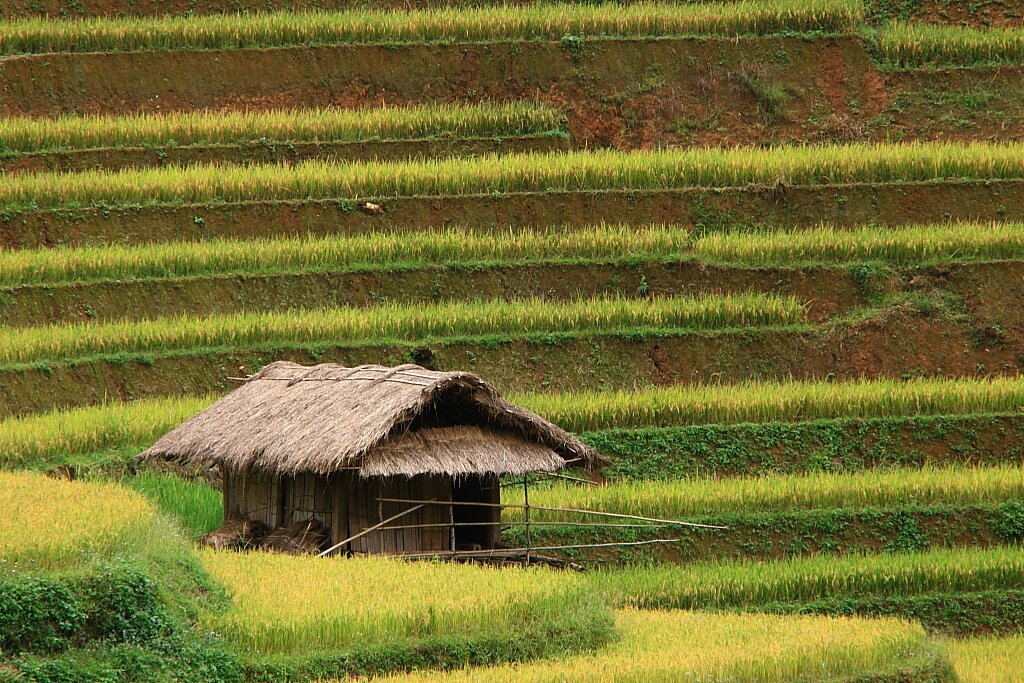 Sổ tay du lịch_sổ tay_du lịch_so tay du lich_so tay_du lich_sotaydulich_sotay_dulich_doc mien dat nuoc_ngat ngay ruong bac thang