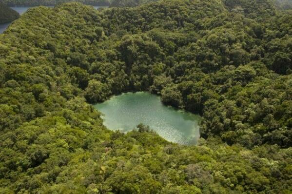 Sổ tay du lịch so tay du lich Sotaydulich Sotay Dulich Khampha Kham Pha Bui Boi lan trong ho sua o Palau