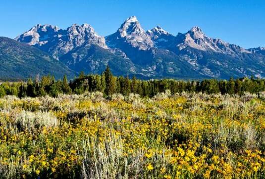 Sổ tay du lịch so tay du lich Sotaydulich Sotay Dulich Khampha Kham Pha Bui Grand Teton cung bac cua thien phu