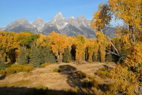 Sổ tay du lịch so tay du lich Sotaydulich Sotay Dulich Khampha Kham Pha Bui Grand Teton cung bac cua thien phu