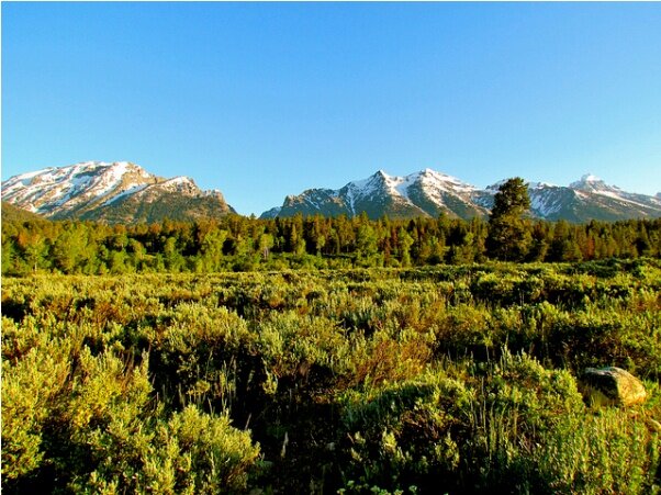 Sổ tay du lịch so tay du lich Sotaydulich Sotay Dulich Khampha Kham Pha Bui Grand Teton cung bac cua thien phu