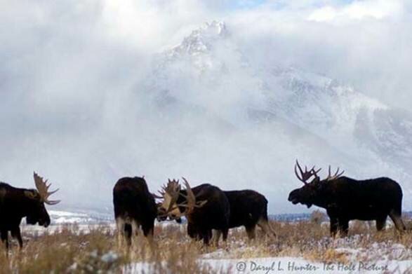 Sổ tay du lịch so tay du lich Sotaydulich Sotay Dulich Khampha Kham Pha Bui Grand Teton cung bac cua thien phu