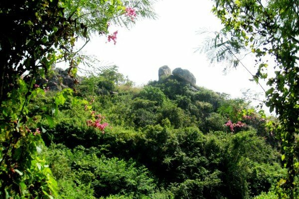  Sổ tay du lịch so tay du lich Sotaydulich Sotay Dulich Khampha Kham Pha Bui Ve chau doc vieng nui Sam