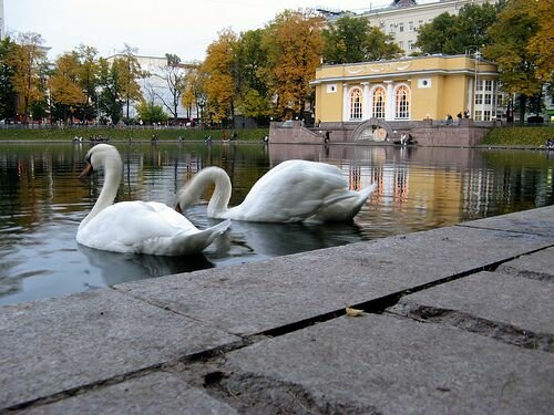 Moscow Mát xơ va Nga muathu mùa thu sotaydulich so tay du lich