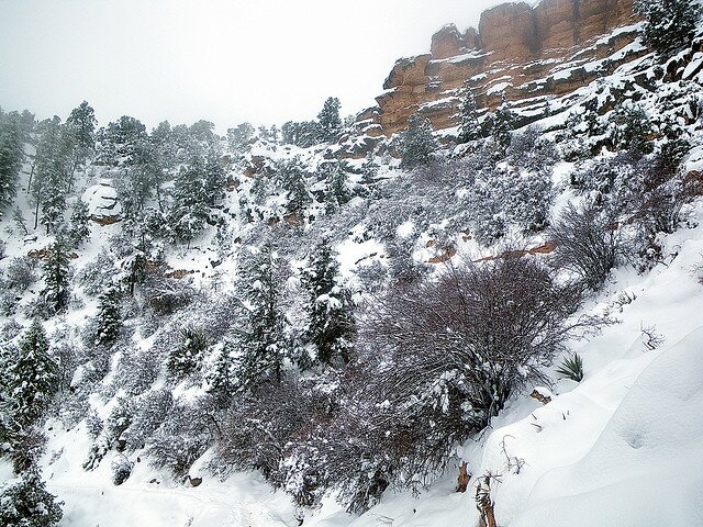 Sotaydulich Sotay Dulich Khampha Kham Pha Bui Grand Canyon