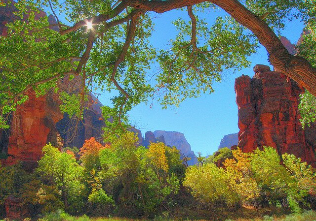 sotaydulich sotay dulich Utah Zion Park Khampha kham pha bui