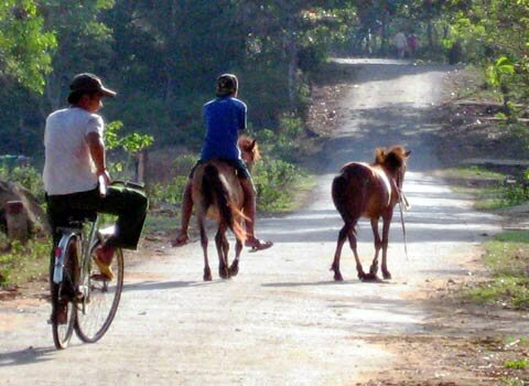 Sổ tay du lịch so tay du lich Sotaydulich Sotay Dulich Khampha Kham Pha Bui Con Co vien ngoc giua bien xanh