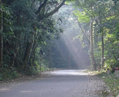 Sotaydulich Sotay Dulich Khampha Kham Pha Bui Vuon quoc gia ba vi hoang so va huyen thoai