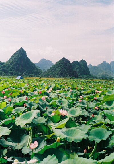 Sổ tay du lịch so tay du lich Sotaydulich Sotay Dulich Khampha Kham Pha Bui Huyền thoại hồ Hà Nội