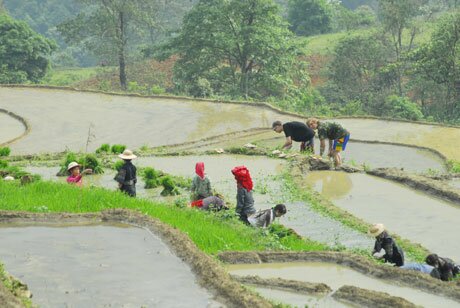 Bản Tả Van - SaPa